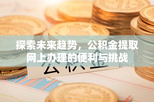 鹰潭探索未来趋势，公积金提取网上办理的便利与挑战